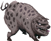 Wild Boar
